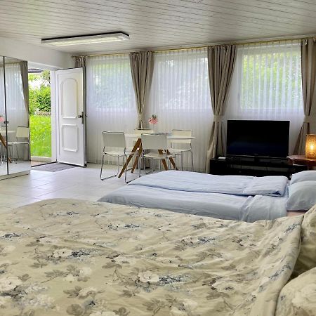 Studio In Stadtnaehe Zuerich Mit Guter Verkehrsanbindung Adliswil المظهر الخارجي الصورة