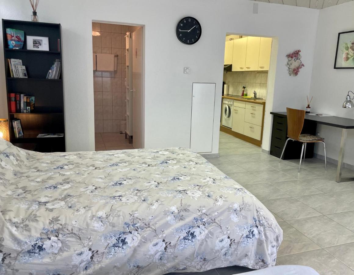 Studio In Stadtnaehe Zuerich Mit Guter Verkehrsanbindung Adliswil المظهر الخارجي الصورة